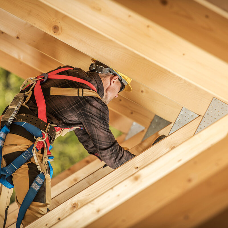 How to Protect Your Wood from Termites