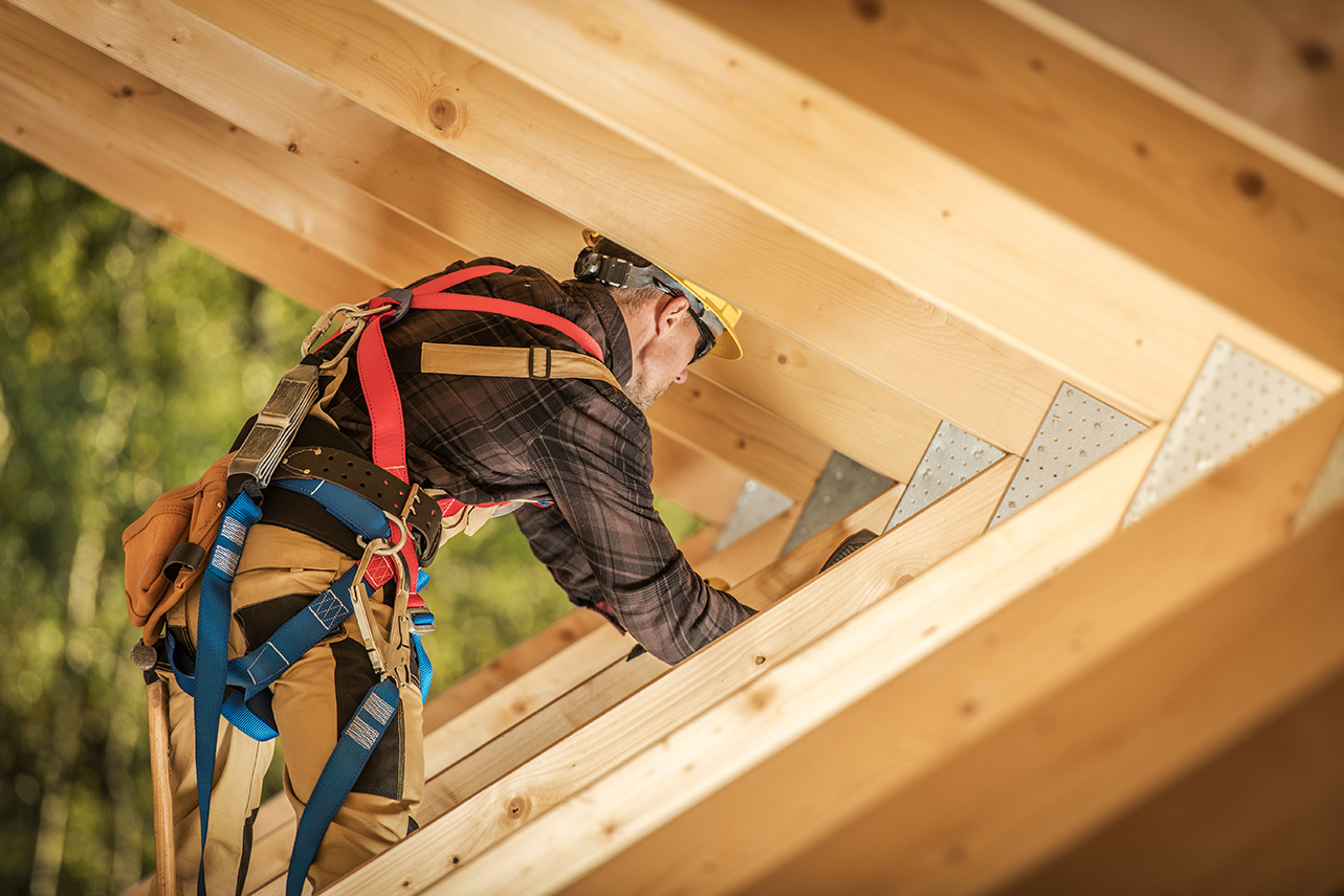 How to Protect Your Wood from Termites